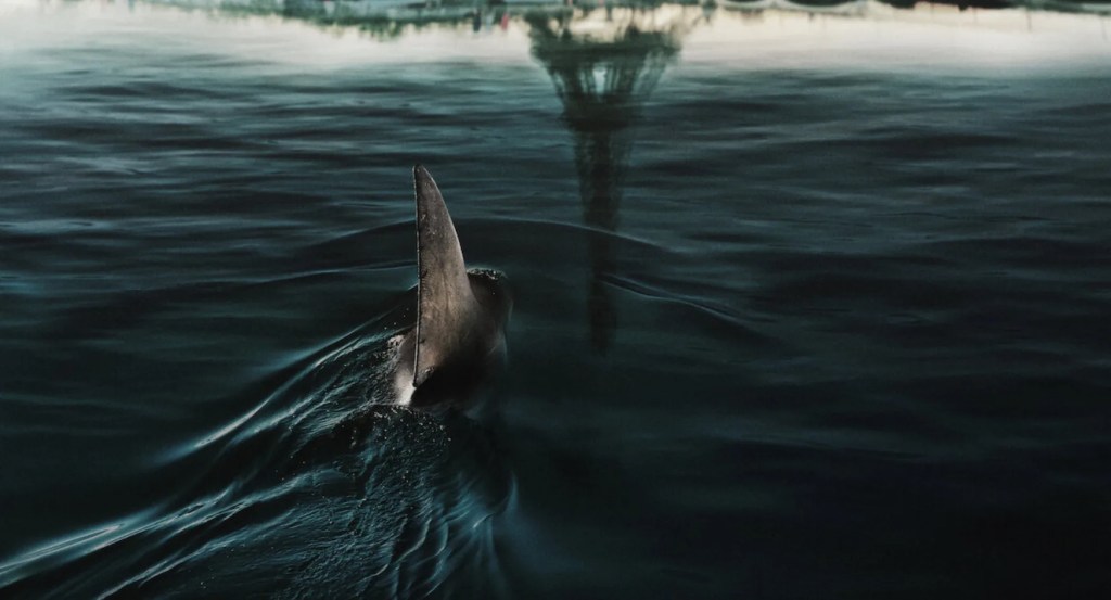 A shark in Paris 