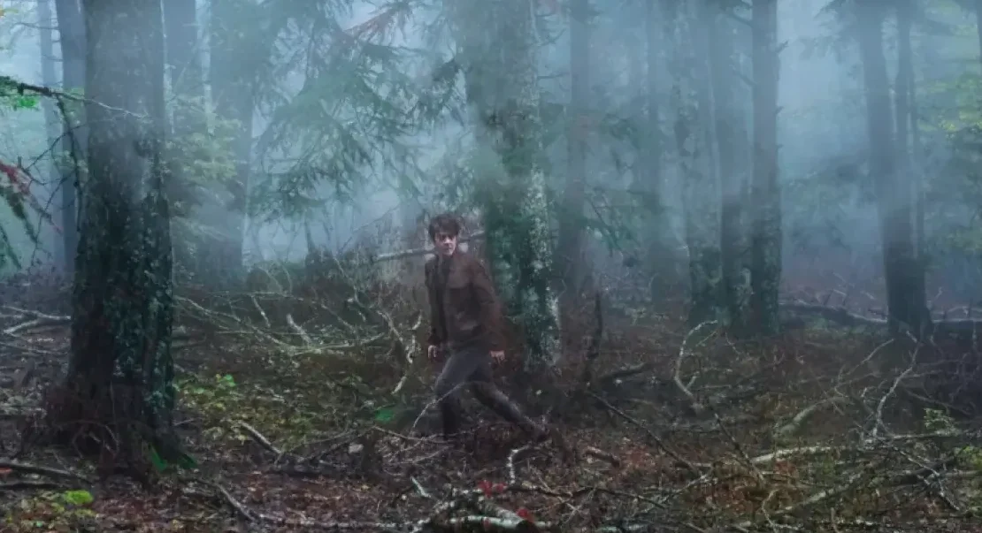 U.S. Release: ‘Misericordia’, A Dark, Unsettling French Thriller