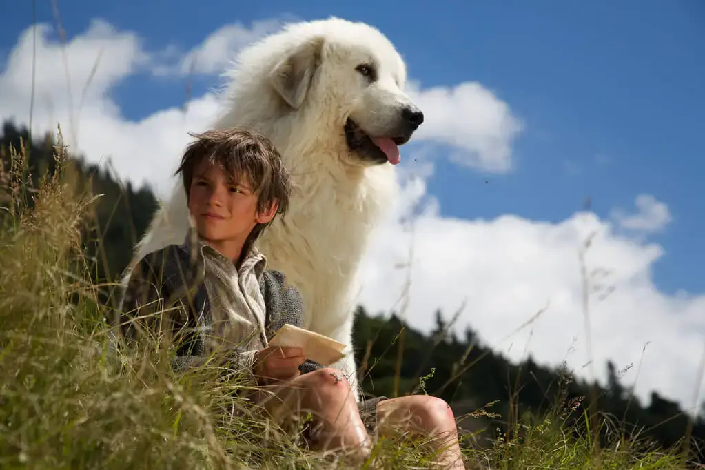 Belle et Sebastian filmed in the Alps